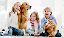 Дети болеют реже, если в доме есть собака