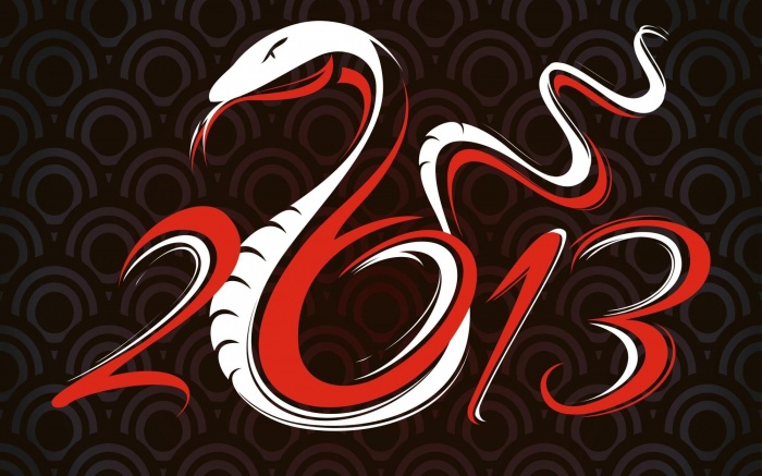 2013 год — год Черной Водяной Змеи. Характеристика и описания типов Змеи