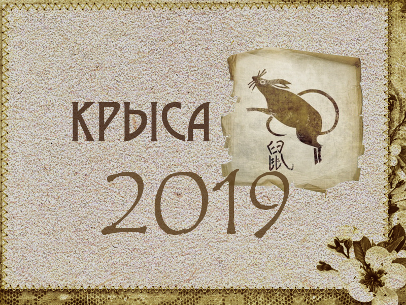 Восточный гороскоп на 2019 год: Крыса