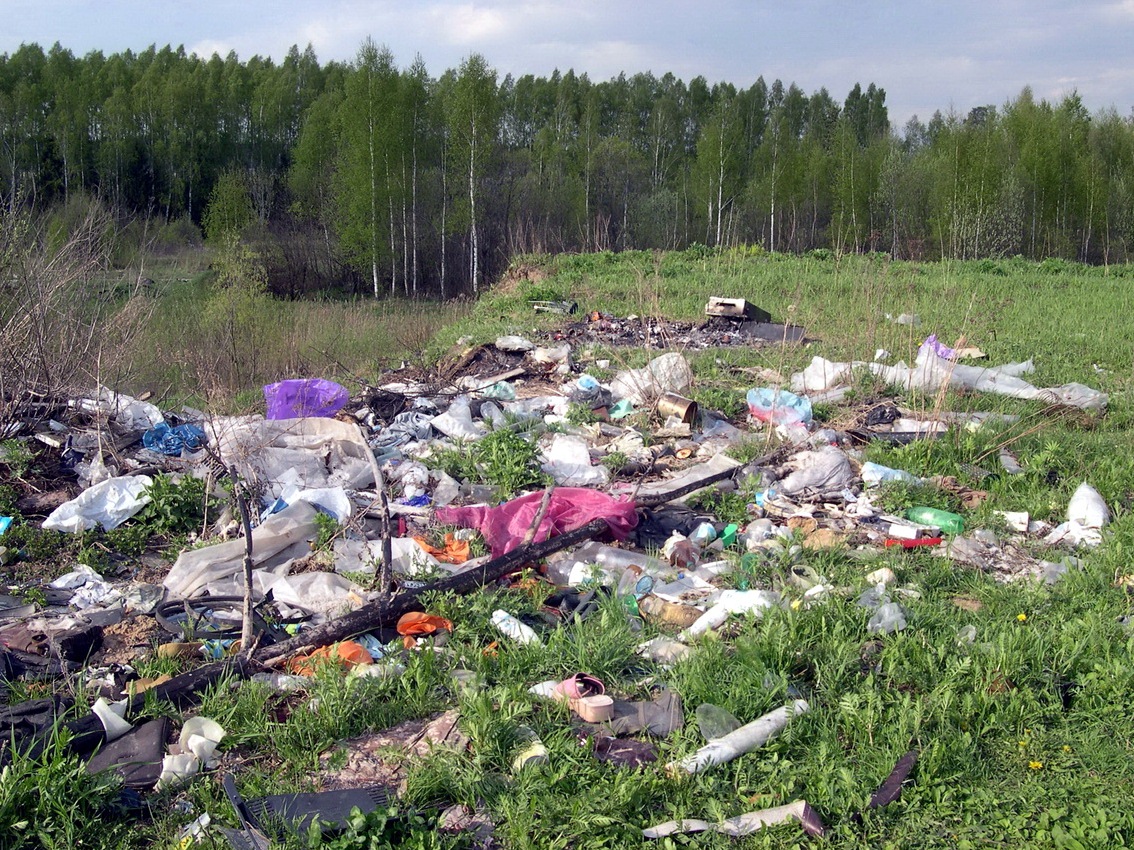 Предлагается изымать у граждан земельные участки для размещения на них отходов