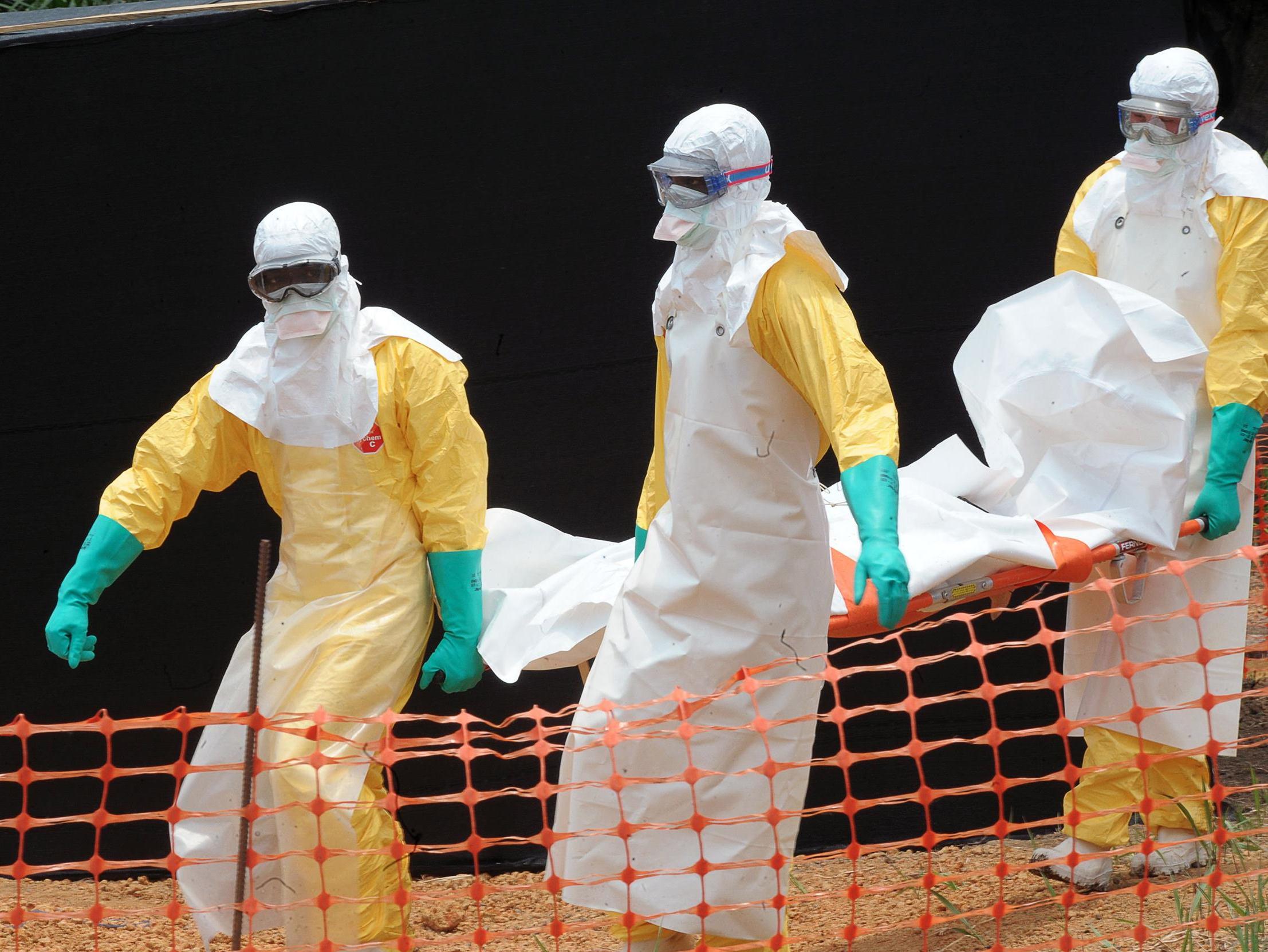 В Роспотребнадзоре не исключили появление в России Эболы