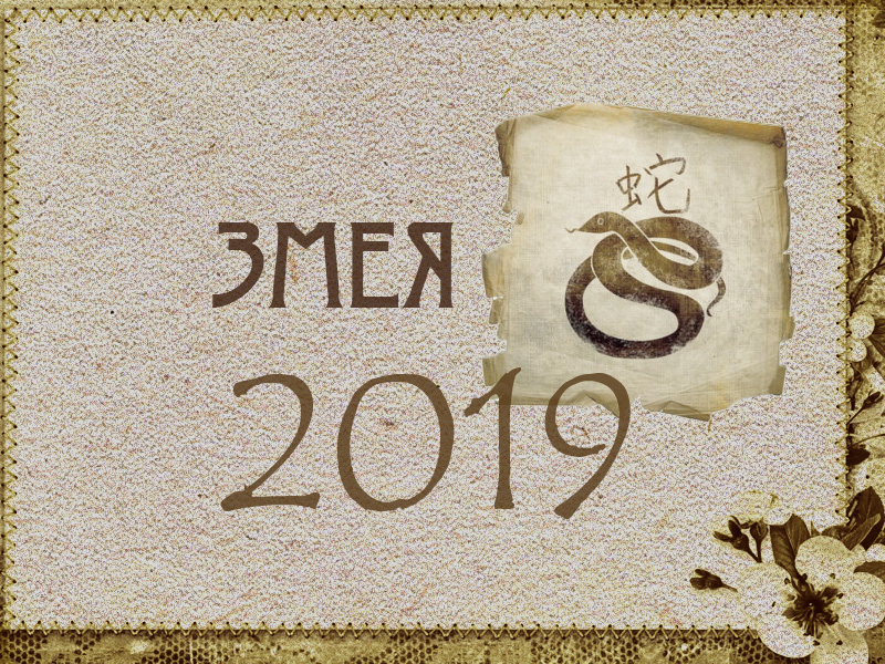 Восточный гороскоп на 2019 год: Змея