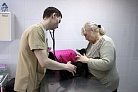 Записать питомца к ветеринару можно через мобильное приложение «Госуслуги Москвы»