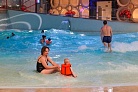 В «Лужниках» открылся Дворец водных видов спорта