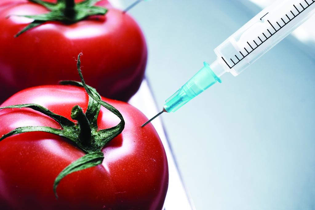 Использование ГМО.Что ждет российское сельское хозяйство?