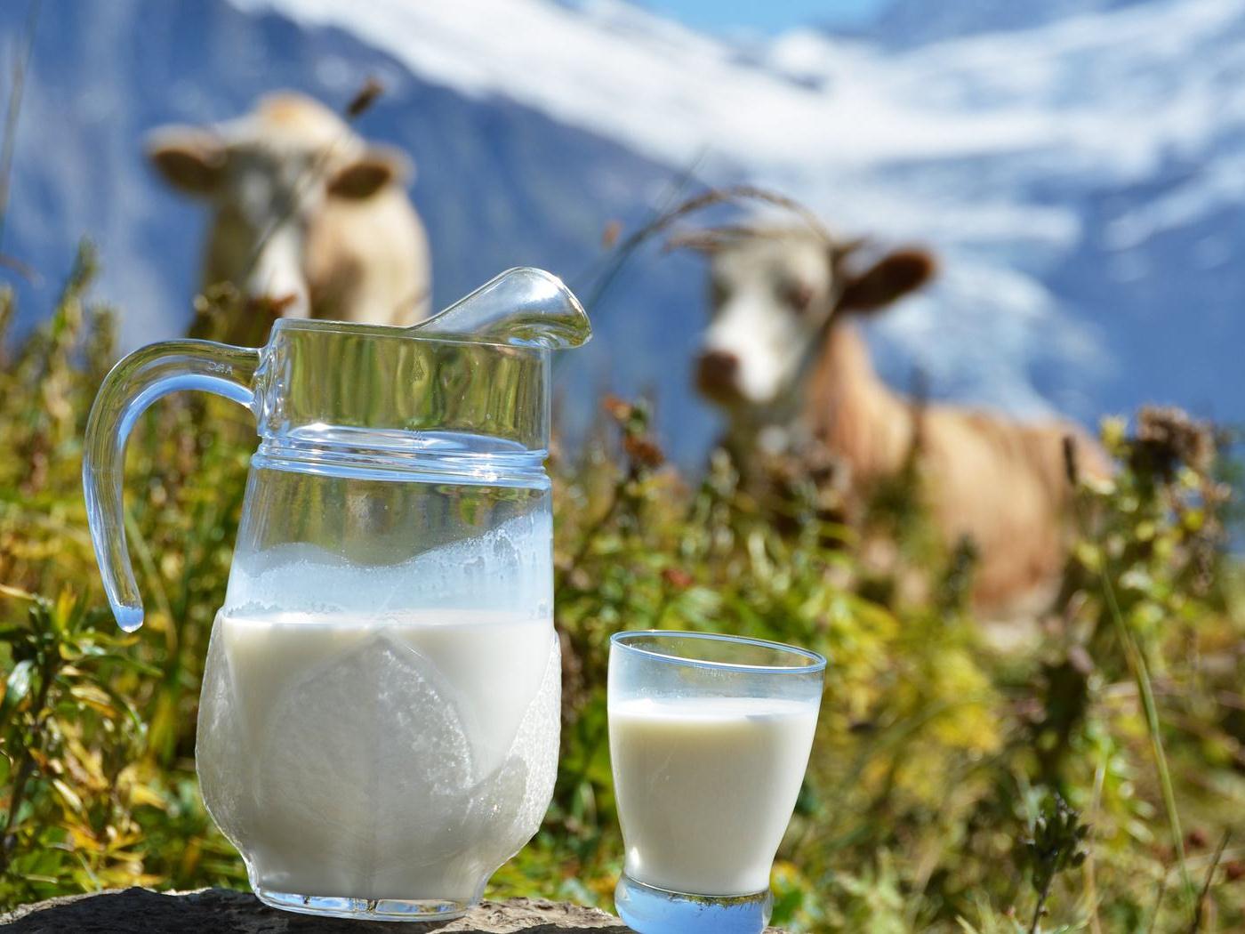 Молочная продукция с пальмовым маслом будет промаркирована в России с 2017 года