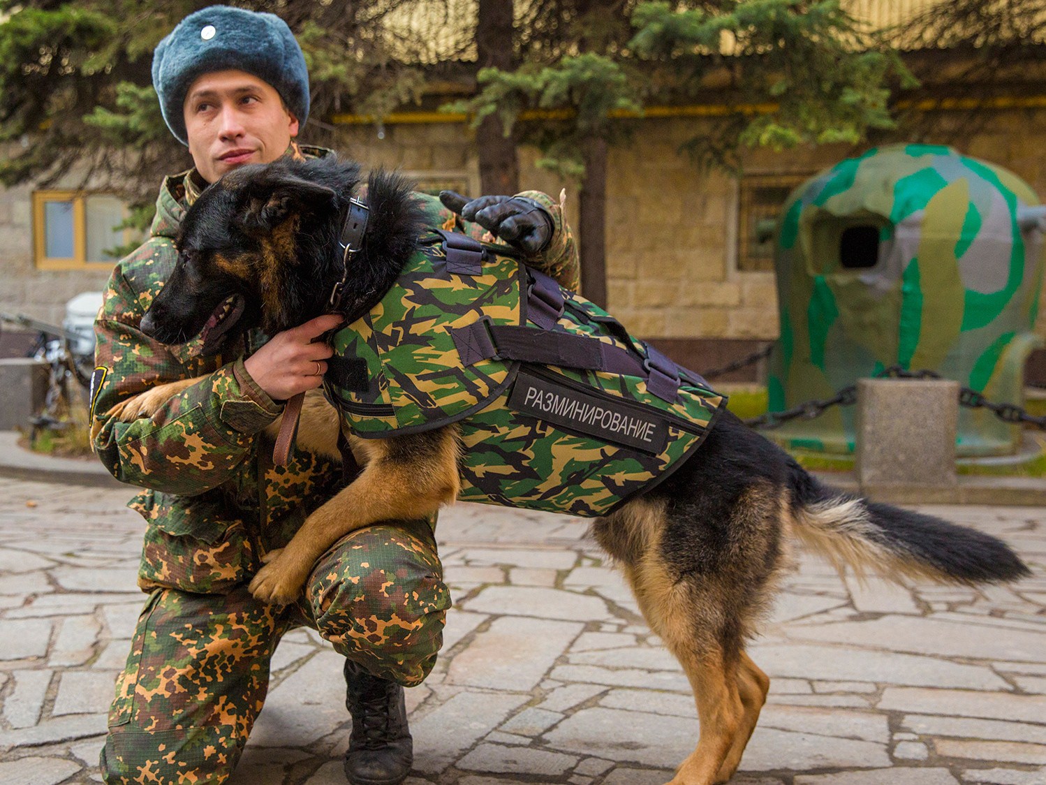 Служебных собак оснастили бронежилетами и системами для десантирования с парашютом 
