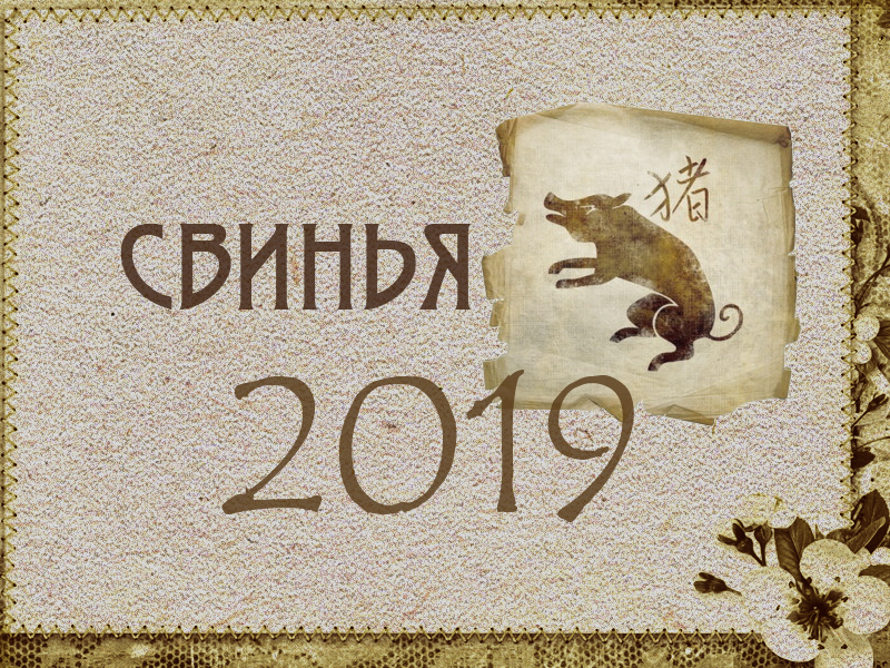 Восточный гороскоп на 2019 год: Свинья