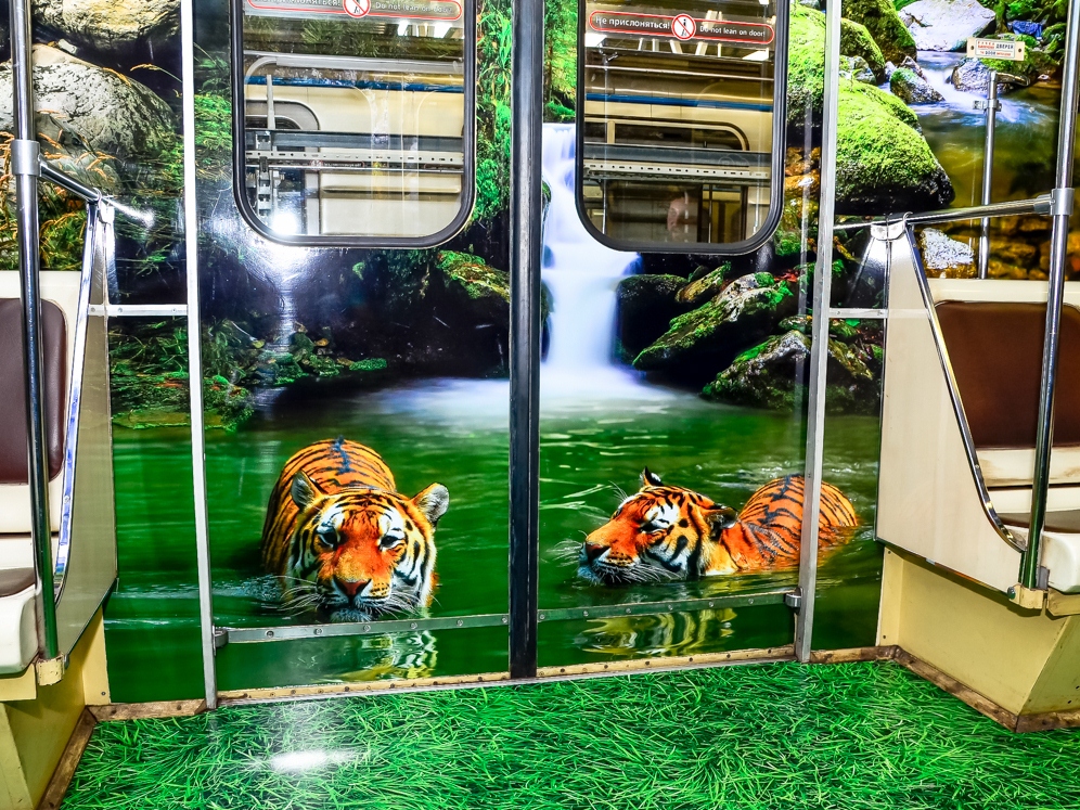 Состав, посвященный тиграм и леопардам, будет ходить в метро Москвы