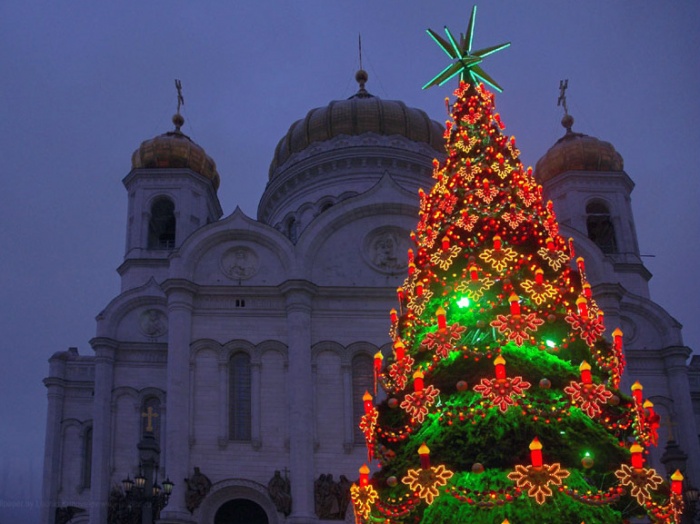 В Москве только в Центральном округе к Новому году установят 85 елок