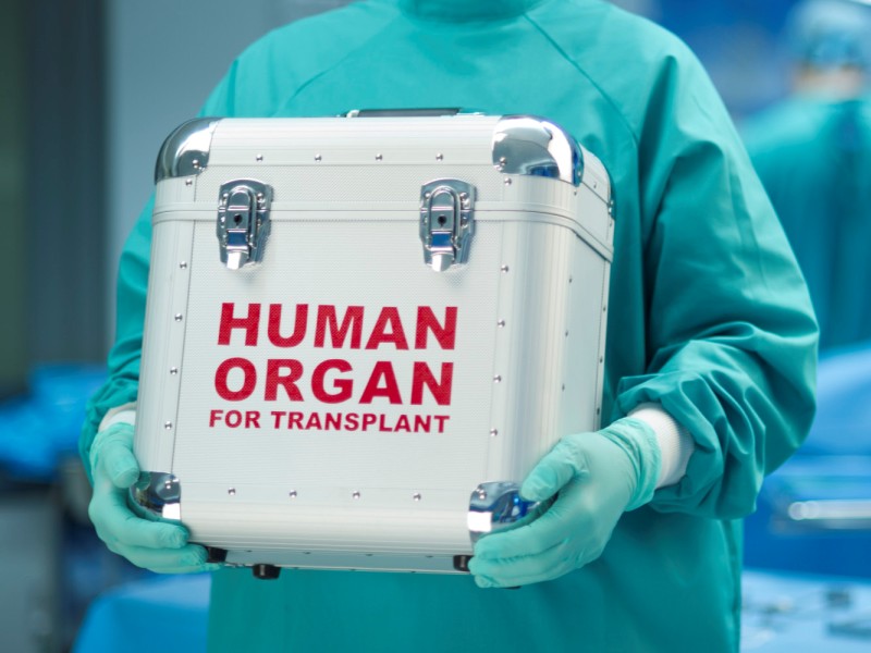 Россияне смогут ставить отметку в полис ОМС о трансплантации своих органов