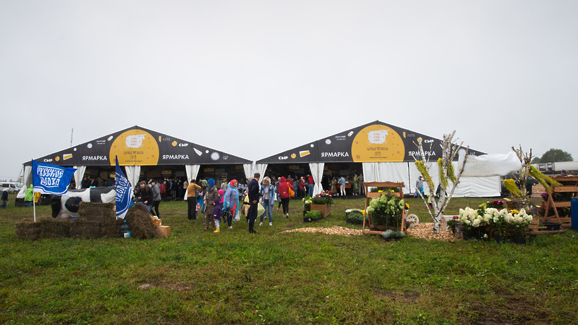 Около 80 тысяч человек посетили сырный фестиваль в Истре