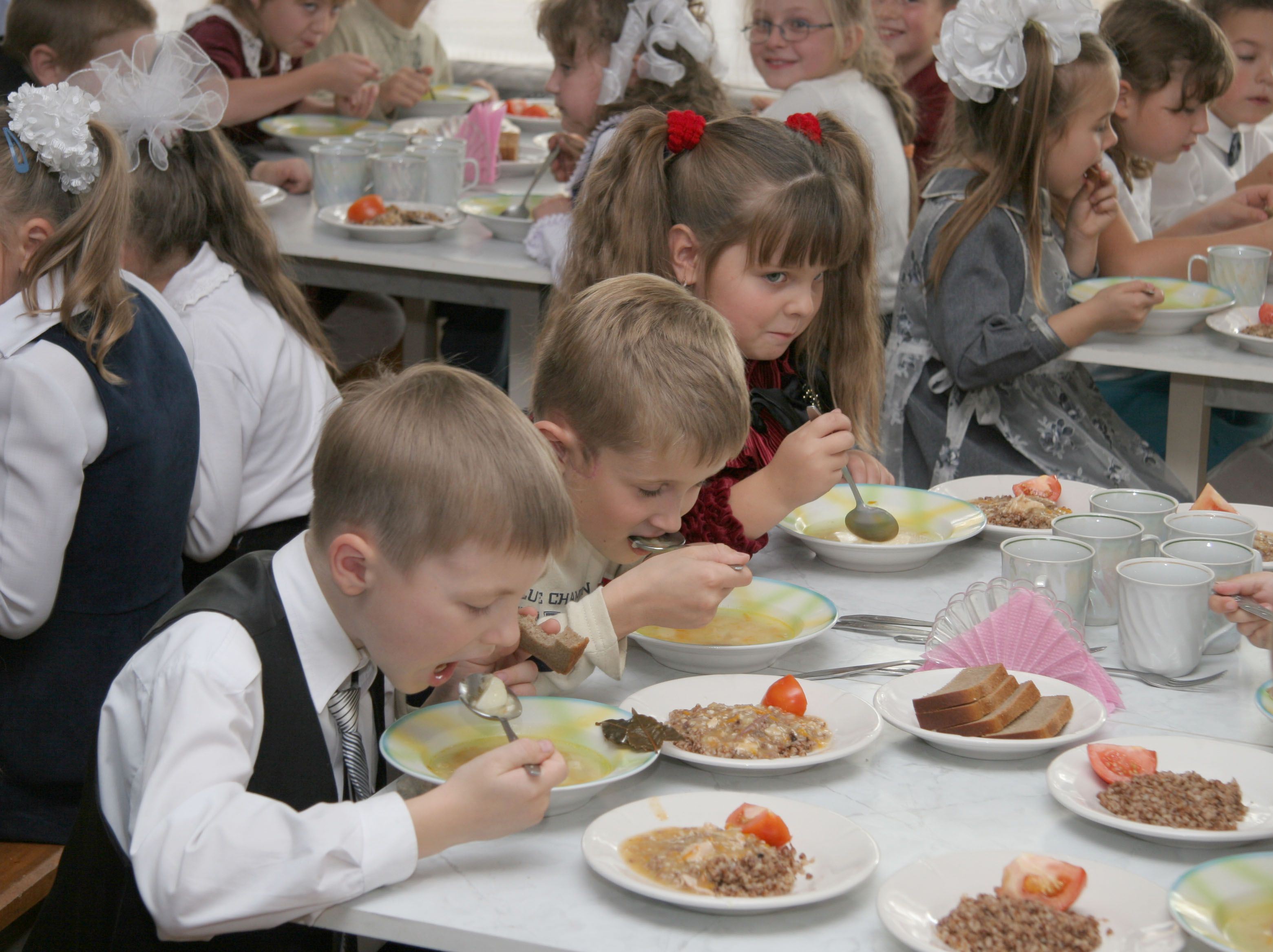 Стоимость школьных обедов будет расти и в 2017  году 