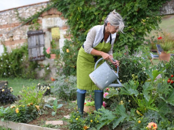 Вступление в силу закона о садоводстве и огородничестве с 1 января 2019 года могут отложить