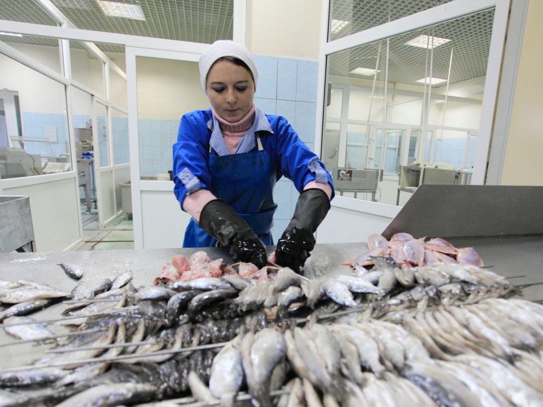 В России цена на рыбу и продукцию из нее стабилизируется