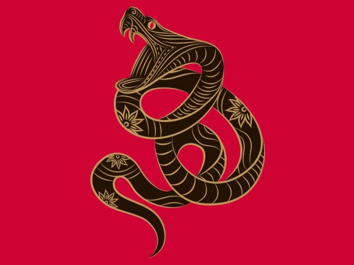 Китайский восточный гороскоп на 2020 год для Змеи