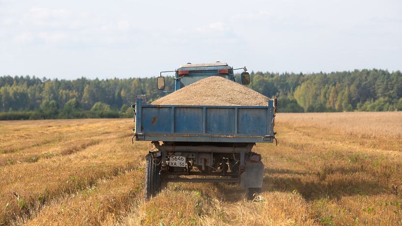 В Госдуме заявили о положительном влиянии контрсанкций на сельское хозяйство РФ