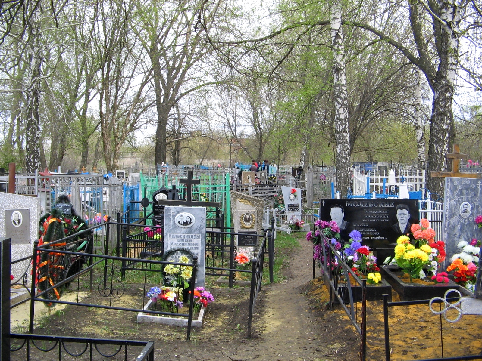 Кладбища могут стать частными