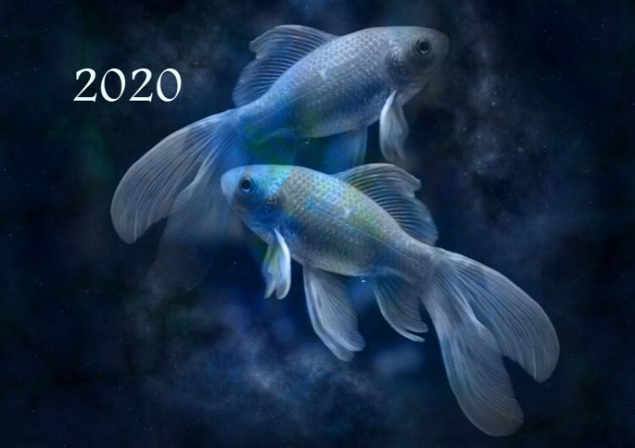 Гороскоп 2020 для Рыб: прогноз финансов, здоровья, семьи, любви