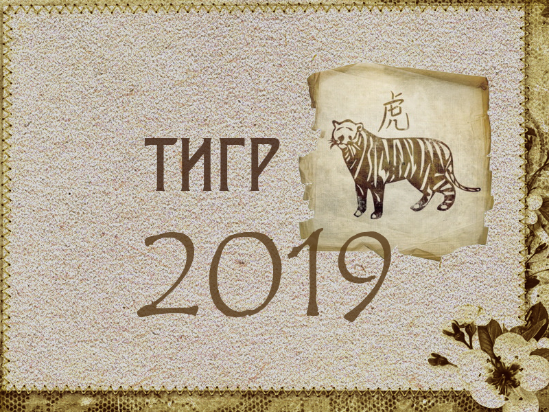 Какой гороскоп 2019. Восточный гороскоп 2019. Тигр знак зодиака. Тигр Восточный гороскоп года. Гороскоп 2019 год кого.