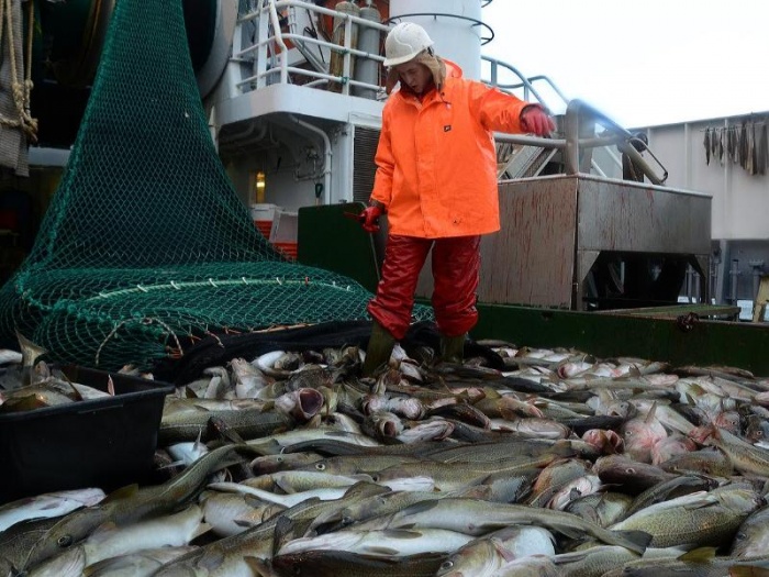 Почему рыбаки боятся поправок в закон «О рыболовстве»?