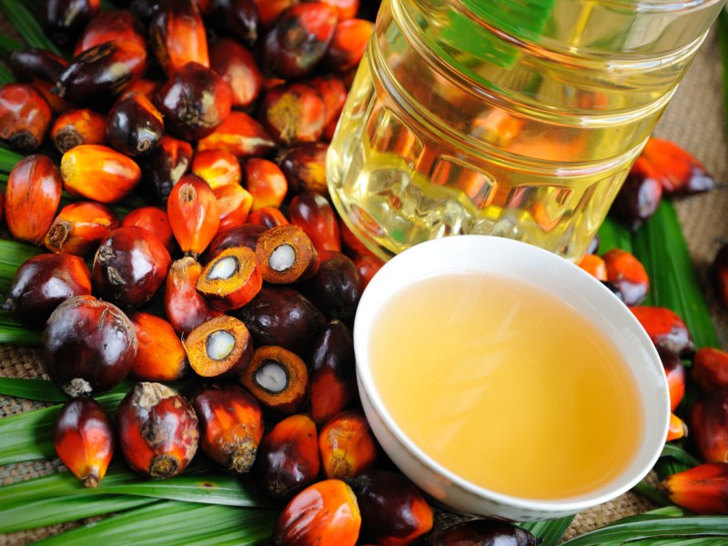 Решение по акцизу на пальмовое масло нужно принять до 1 июня