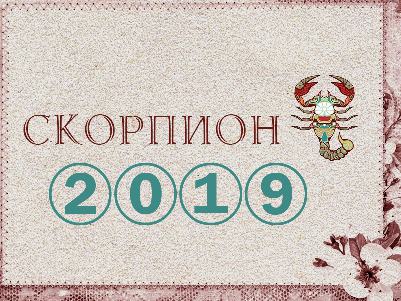 Гороскоп Скорпион в 2019: финансы, любовь и здоровье