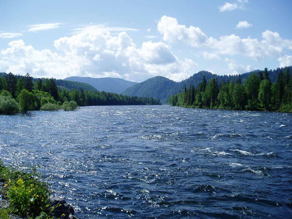 Школьники проведут перепись малых рек России к Году экологии