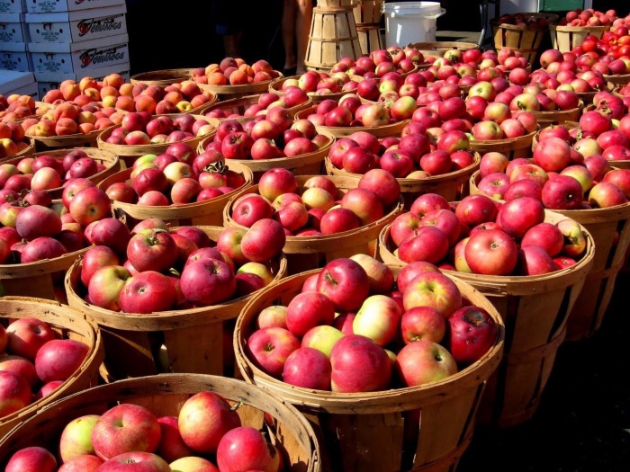 В России будет больше аргентинских яблок и груш