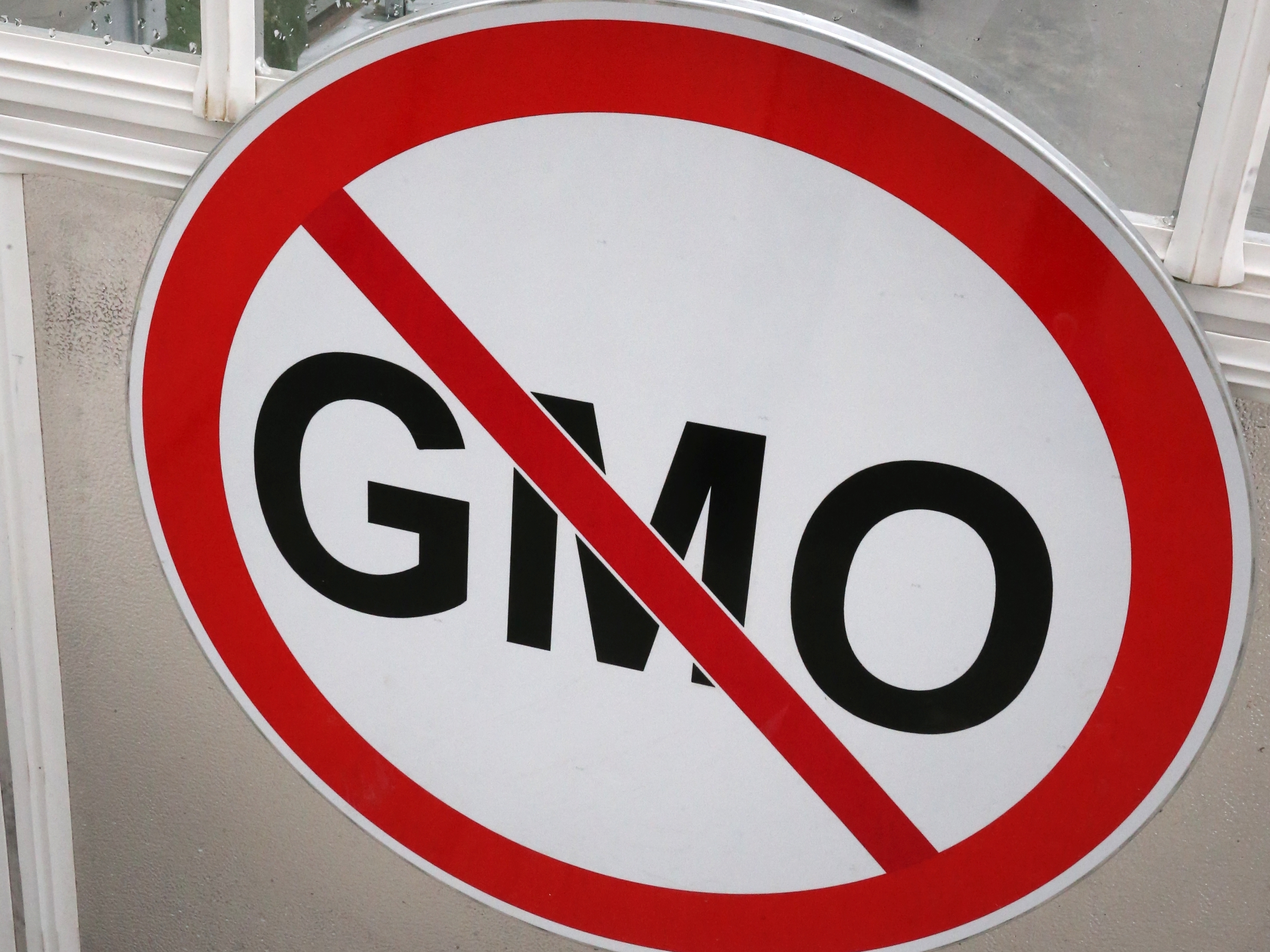 В России появится реестр продуктов с ГМО