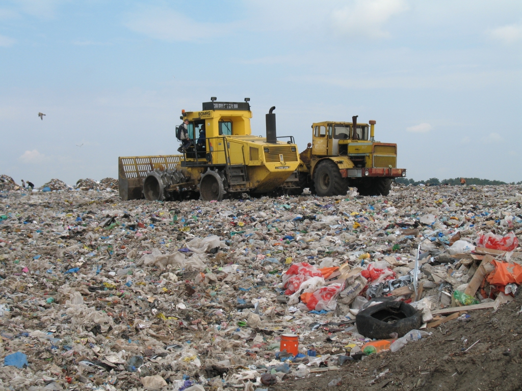 Определена стоимость услуги по обезвреживанию твердых бытовых отходов в Москве
