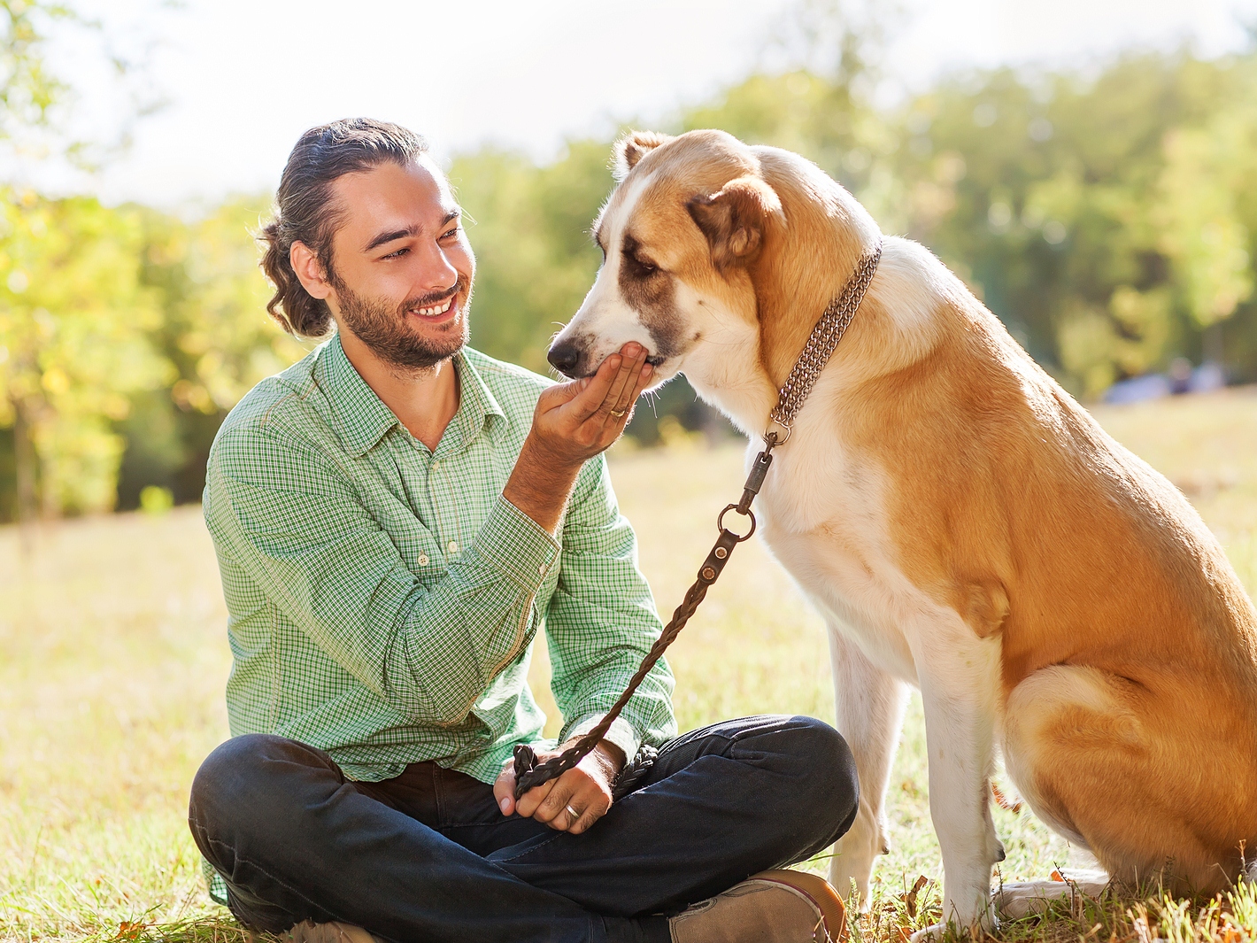 Собаки понимают значения слов и различают эмоции, выяснили исследователи