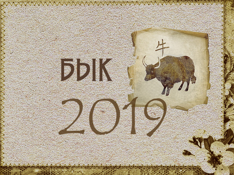 Восточный гороскоп на 2019 год: Бык