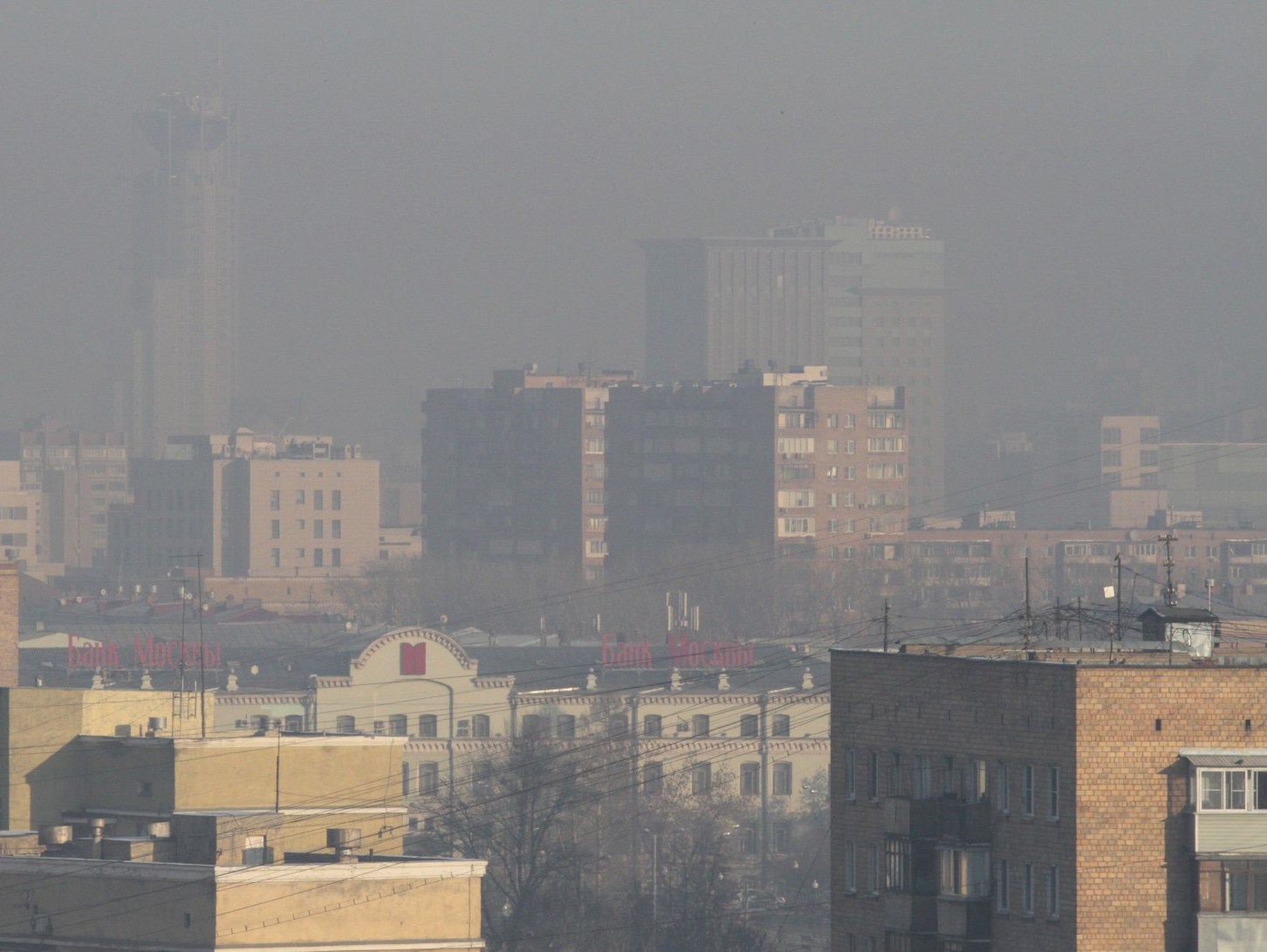 Шлейф дыма от лесных пожаров в Сибири дотянулся до Москвы