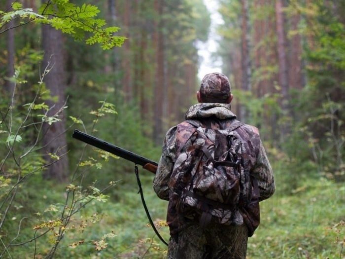 В России готовят охотничью реформу. Правила продажи охотничьих ружей могут ужесточить