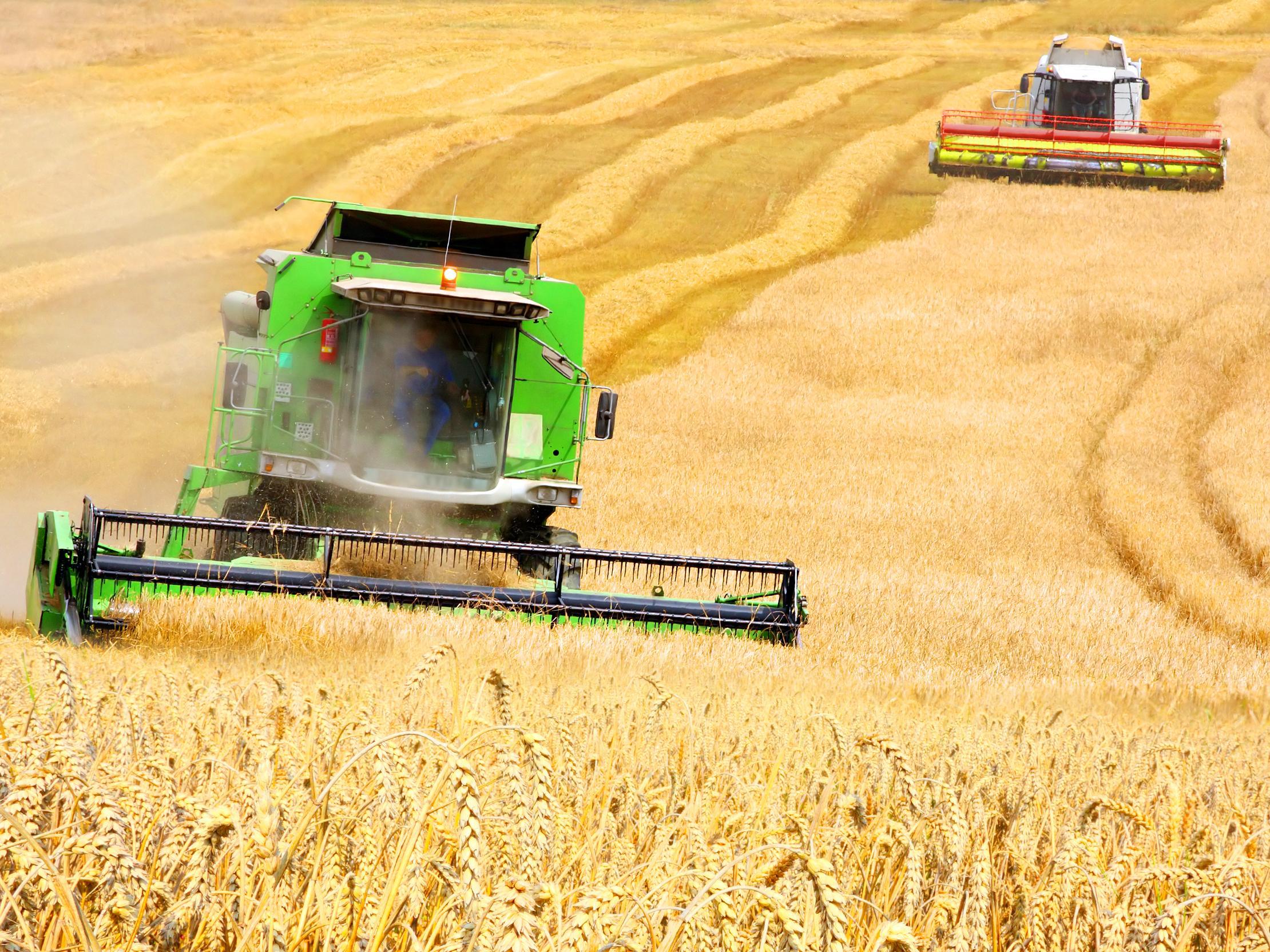 В 2016 году Россия может побить рекорд по сбору урожая зерна, который был поставлен еще в СССР