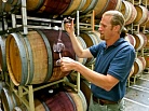 В Госдуме готовят закон о виноделии. Какие вина окажутся под запретом? 