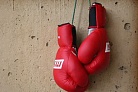 Решение WADA не коснется российских бойцов MMA