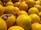Турецкие апельсины снова появятся в российских магазинах 