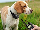 Новые правила обращения с GPS-трекерами. Какую технику будут считать шпионской?