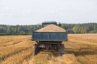 В Госдуме заявили о положительном влиянии контрсанкций на сельское хозяйство РФ