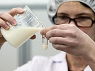 Борьба с фальсификатом поднимет цены на молоко
