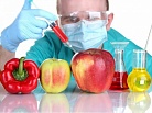 Российские ученые нашли альтернативу ГМО