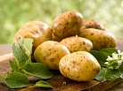 Беременным вредит много картофеля