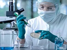 Российские ученые готовятся выращивать клетки человека