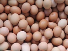 Как выбрать качественные яйца?