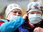 Россиян предупредили об угрозе птичьего гриппа